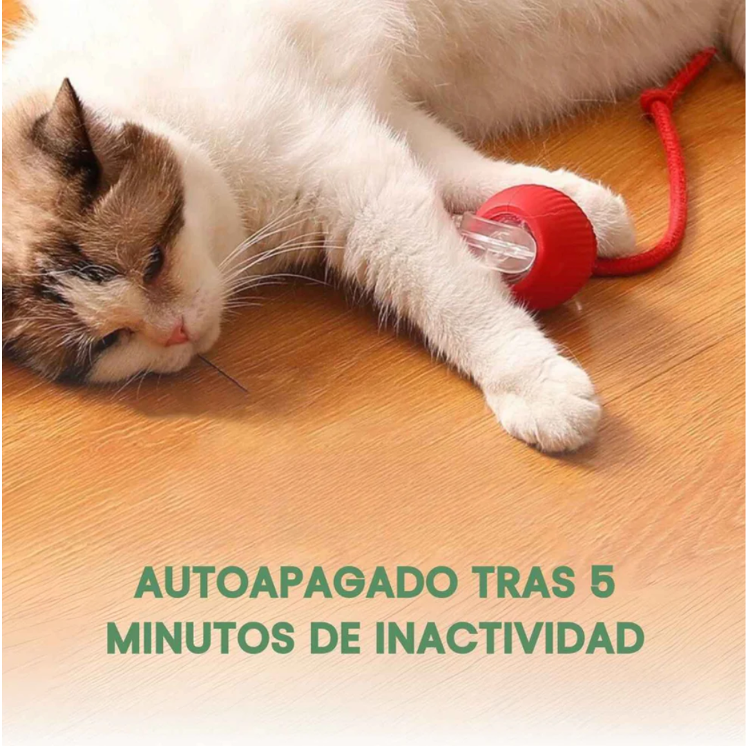 ActivePet